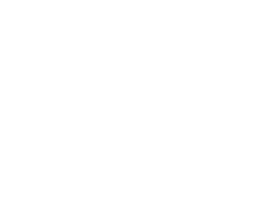 Star Tail Fleet